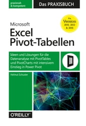 Microsoft Excel Pivot-Tabellen Das Praxisbuch