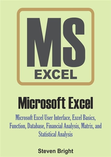 Microsoft Excel - Steven Bright