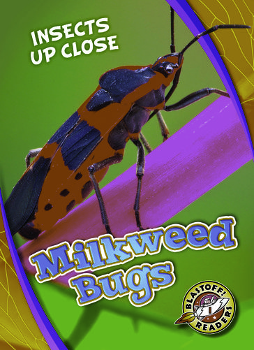 Milkweed Bugs - Patrick Perish