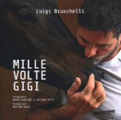 Mille volte Gigi. Ediz. illustrata