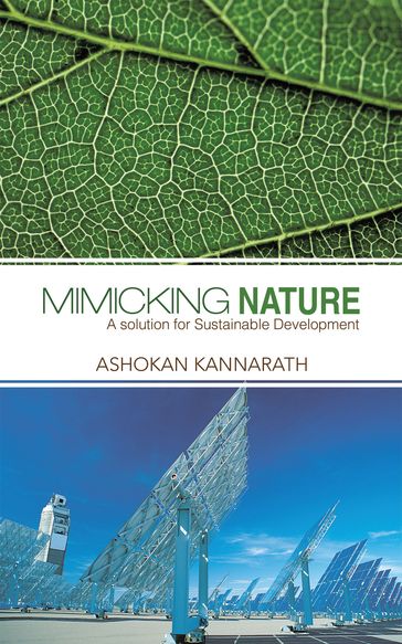 Mimicking Nature - Ashokan Kannarath