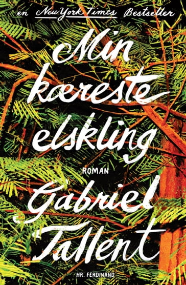 Min kæreste elskling - Gabriel Tallent