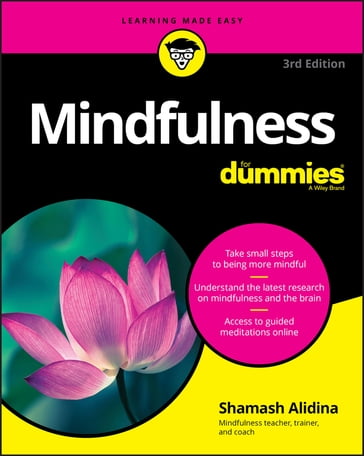 Mindfulness For Dummies - Shamash Alidina