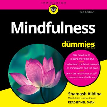 Mindfulness For Dummies - Shamash Alidina