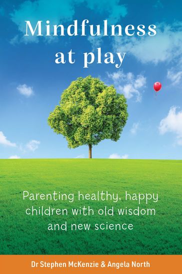 Mindfulness at Play - Dr Stephen McKenzie - Angela North