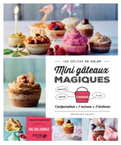 Mini gâteaux magiques - Les délices de Solar