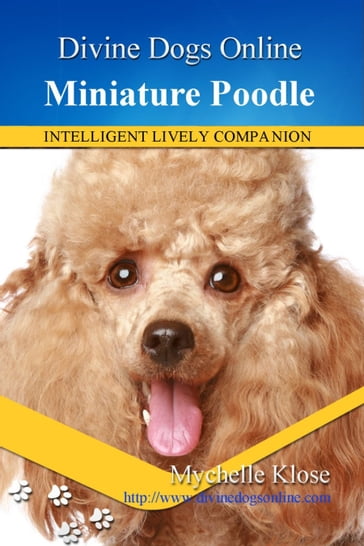 Miniature Poodle - Mychelle Klose