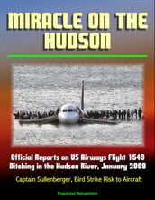 Miracle on the Hudson: Official Reports on US Airways Flight 1549 Ditching in the Hudson River, January 2009, Captain Sullenberger, Bird Strike Risk to Aircraft