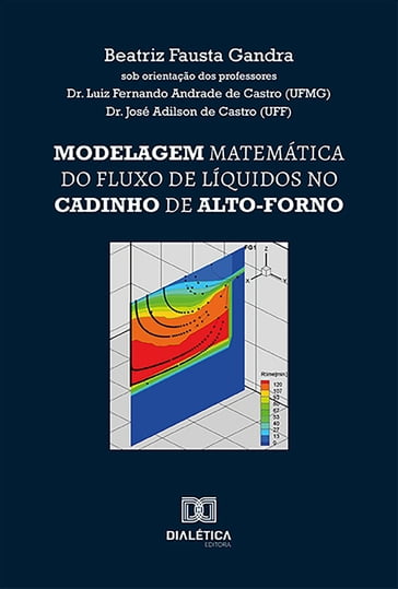 Modelagem matemática do fluxo de líquidos no cadinho de alto-forno - Beatriz Fausta Gandra