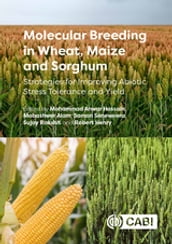 Molecular Breeding in Wheat, Maize and Sorghum