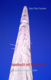 Mondnacht mit Milchstrasse