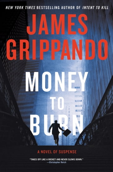 Money to Burn - James Grippando