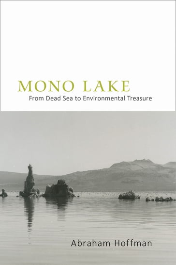 Mono Lake - Abraham Hoffman