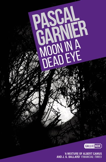 Moon in a Dead Eye: Shocking, hilarious and poignant noir - Pascal Garnier