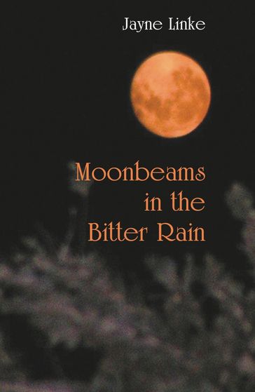 Moonbeams in the Bitter Rain - Jayne Linke
