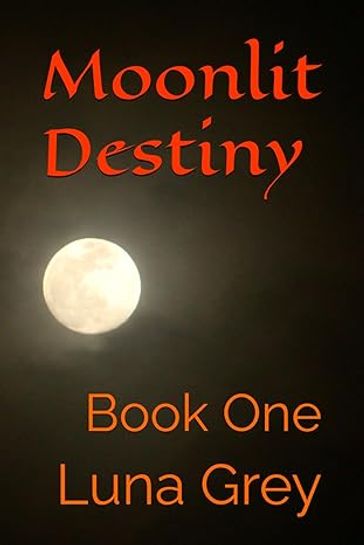 Moonlit Destiny - Megan Jenkins - Justin Wireman