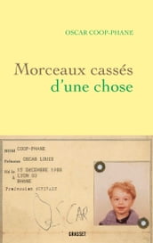 Morceaux cassés d