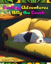 More Adventures of Billy the Couch