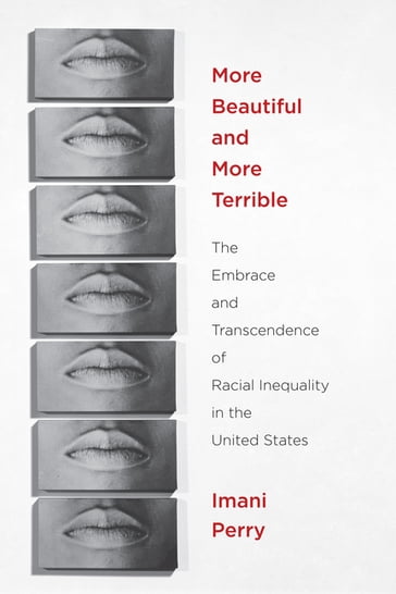 More Beautiful and More Terrible - Imani Perry