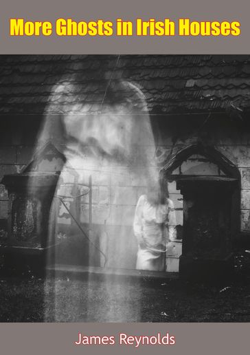 More Ghosts in Irish Houses - James Reynolds