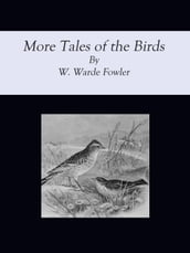 More Tales of the Birds