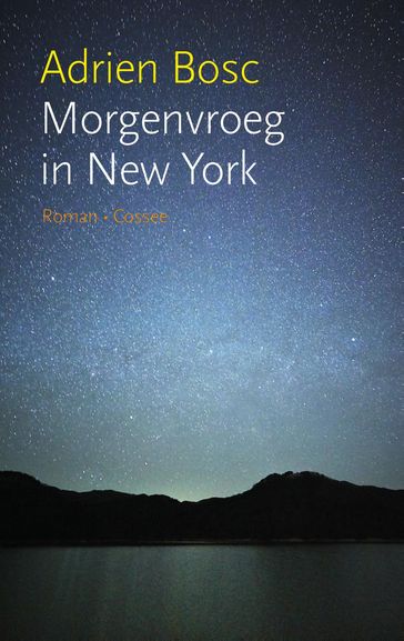 Morgenvroeg in New York - Adrien Bosc