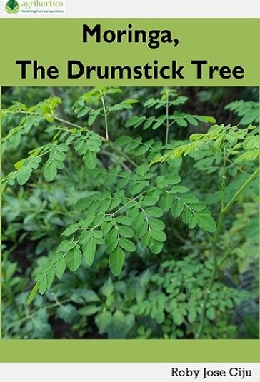 Moringa, the Drumstick Tree - ROBY JOSE CIJU