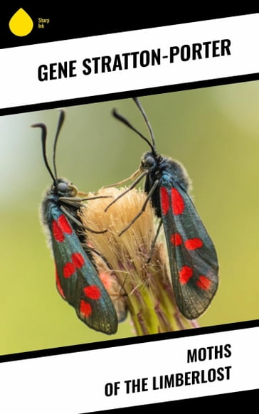 Moths of the Limberlost - Gene Stratton-Porter