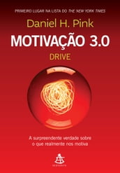 Motivação 3.0 Drive