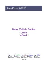 Motor Vehicle Bodies in China