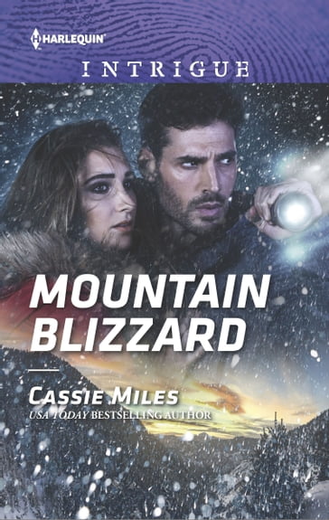 Mountain Blizzard - Cassie Miles