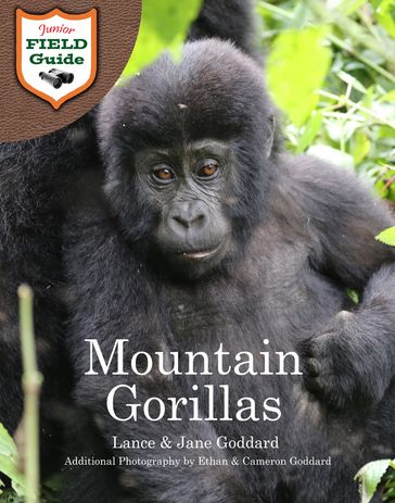 Mountain Gorillas - Cameron Goddard - Ethan Goddard - Jane Goddard - Lance Goddard