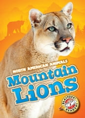 Mountain Lions