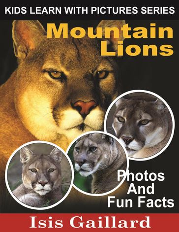 Mountain Lions Photos and Fun Facts for Kids - Isis Gaillard