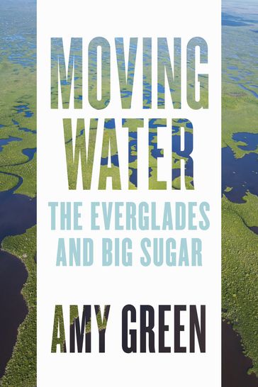 Moving Water - Amy Green
