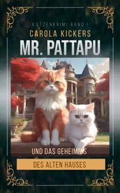 Mr. Pattapu und das Geheimnis des alten Hauses