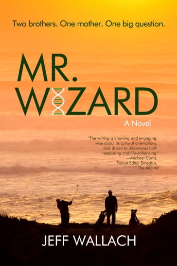 Mr. Wizard: A Novel - Jeff Wallach