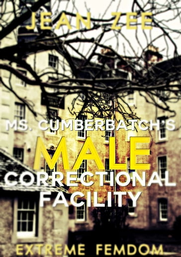 Ms. Cumberbatch's Male Correctional Facility - Jean Zee
