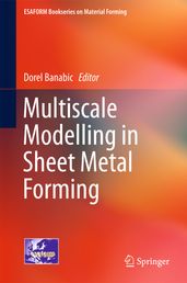 Multiscale Modelling in Sheet Metal Forming