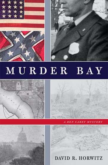 Murder Bay - David R. Horwitz