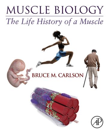 Muscle Biology - Bruce M. Carlson - MD - PhD
