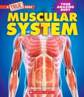 Muscular System (A True Book: Your Amazing Body)
