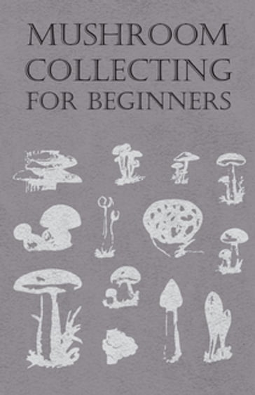 Mushroom Collecting for Beginners - ANON