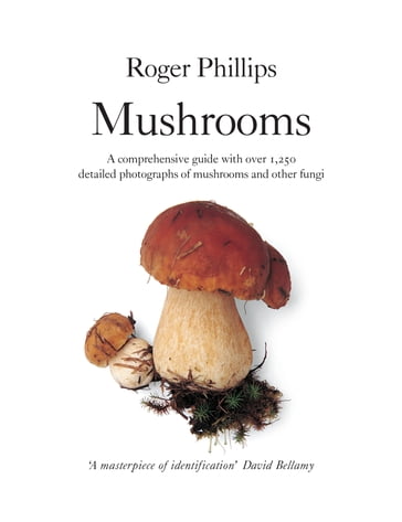 Mushrooms - Roger Phillips