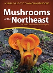Mushrooms of the Northeast