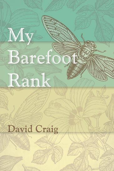 My Barefoot Rank - Craig David