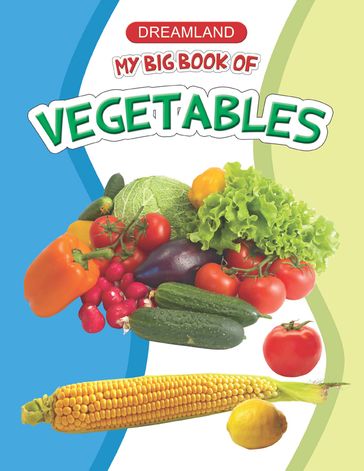 My Big Book of Vegetables - Anuj Chawla