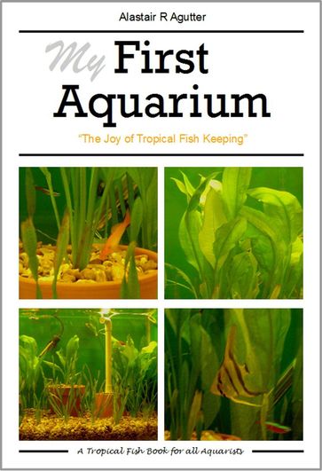 My First Aquarium Book - Alastair Agutter