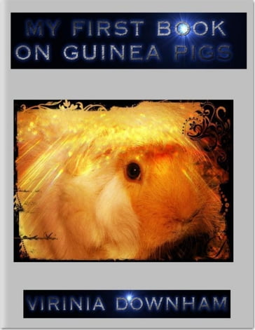 My First Book On Guinea Pigs - Virinia Downham