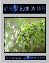 My First Book on Ants